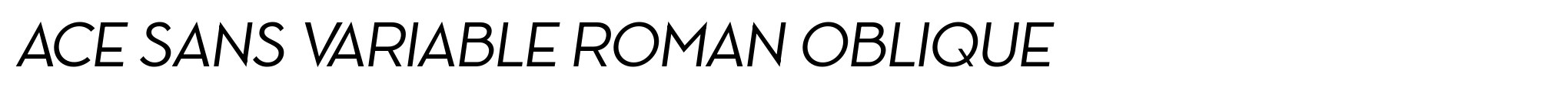 Ace Sans Variable Roman Oblique image
